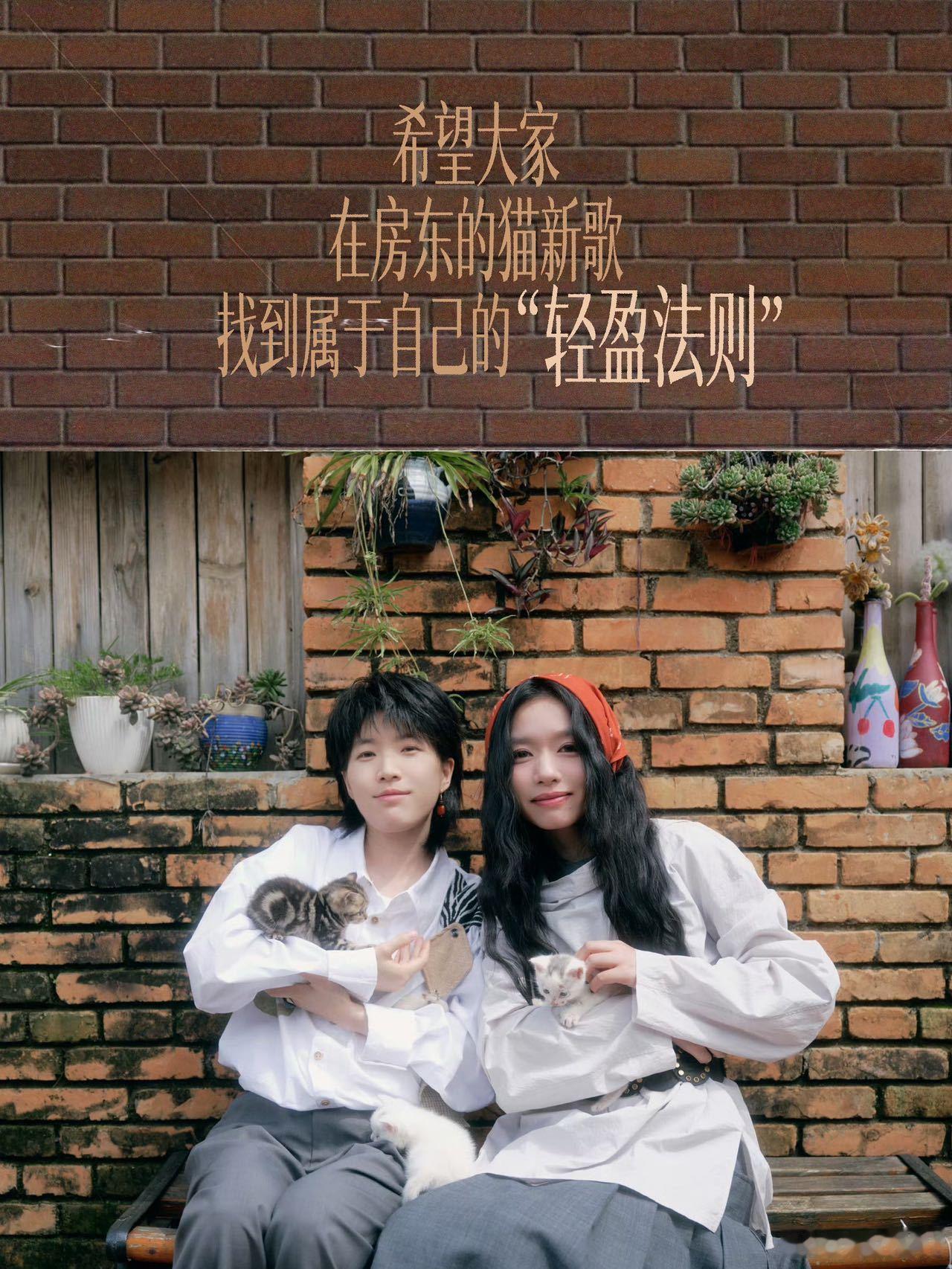 房东的猫新专辑不擅生长的树房东的猫新歌轻盈法则希望大家在房东的猫新歌找到属于自己