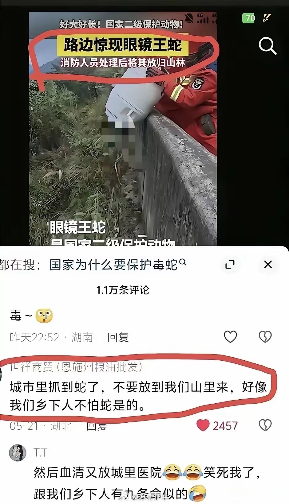 死道友不死贫道 