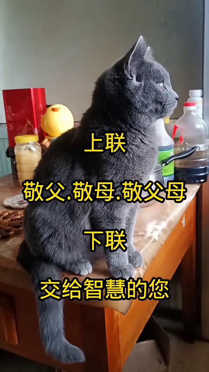 上联：敬父、敬母、敬父母。下联：交给智慧的您。