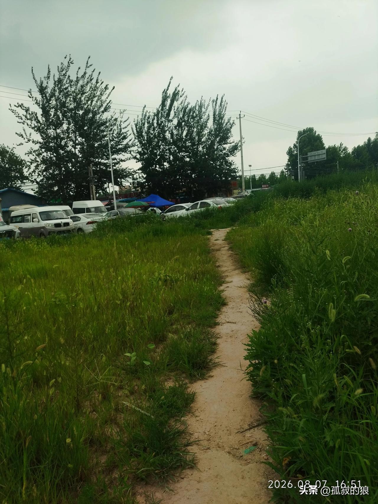 走在乡间的小路上，用家乡话他说什么？
