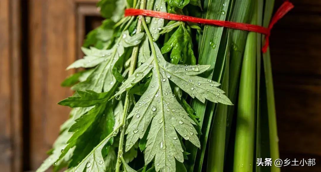端午挂艾草，这6个讲究别弄错！挂对了福气留，挂错了可能白忙活
 
端午挂艾草，不
