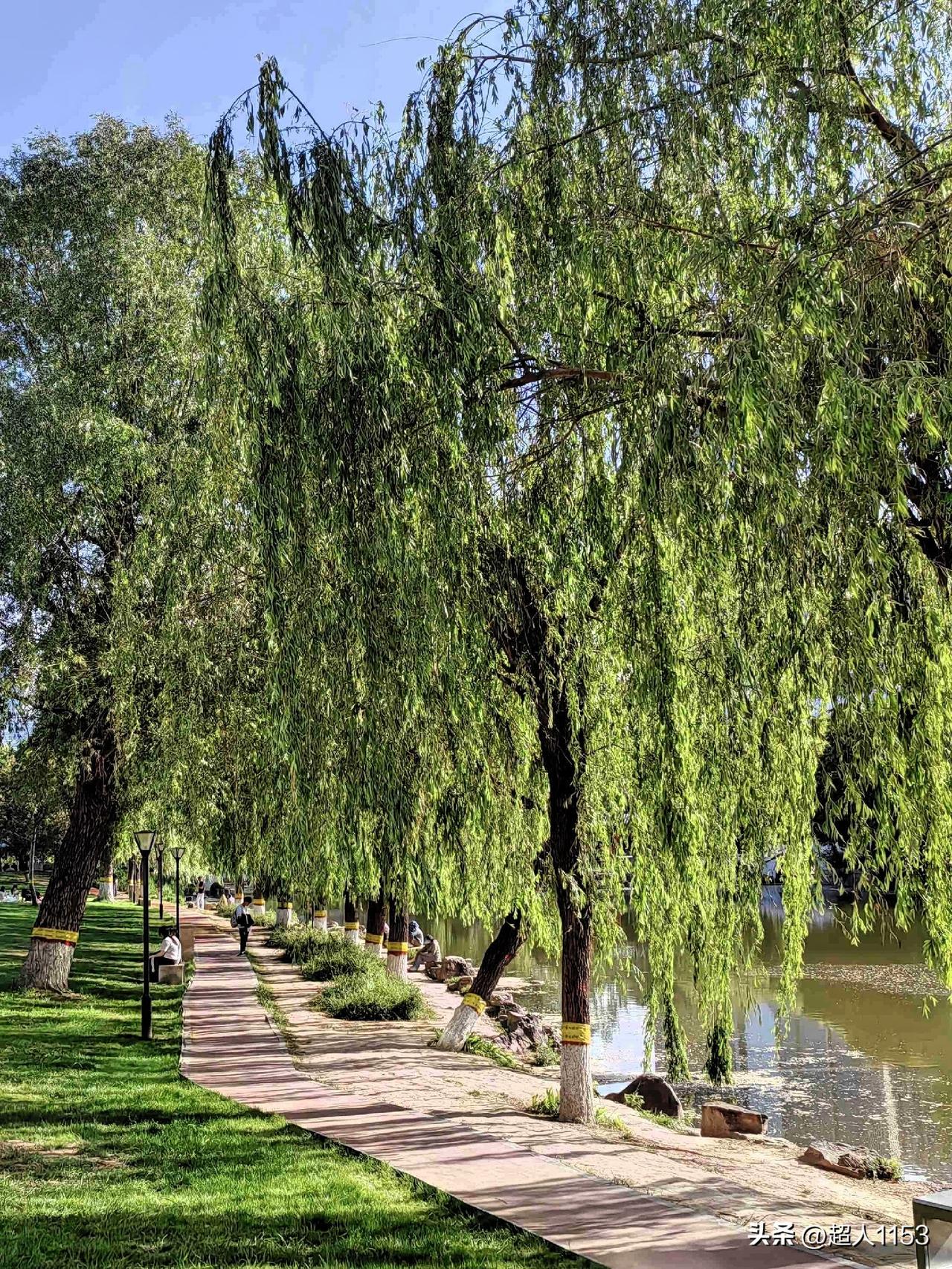 我的今日状态：😁轻松愉快
我这里的天气：☀️晴天

每天的太阳都是新的，
阳光