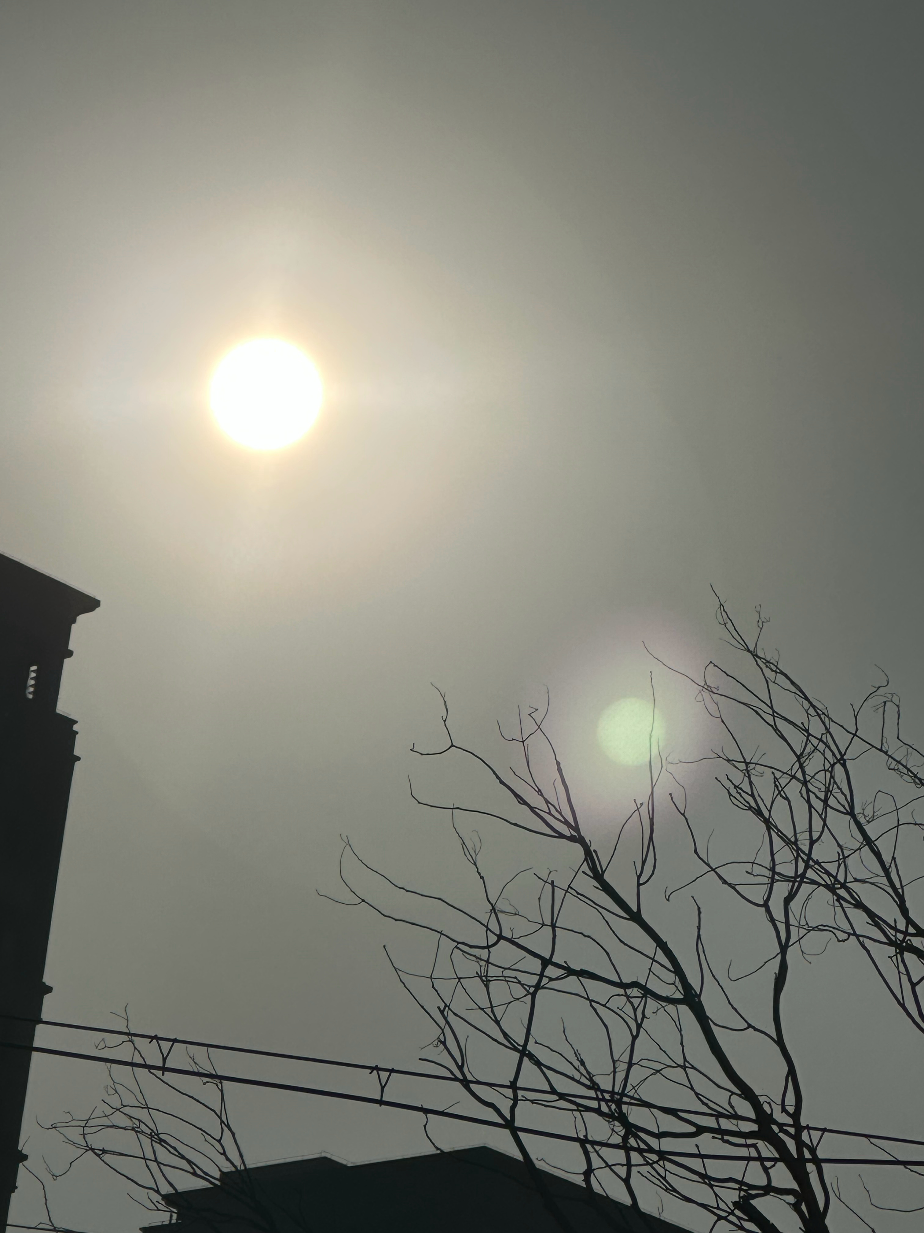 懂得宽恕，懂得原谅，开心的是自己，懂得淡泊名利，懂得享受生活，放松的是自己，懂得