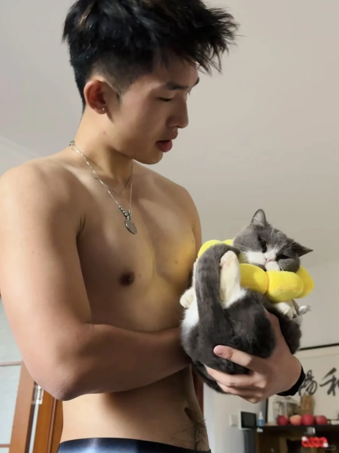 🐱