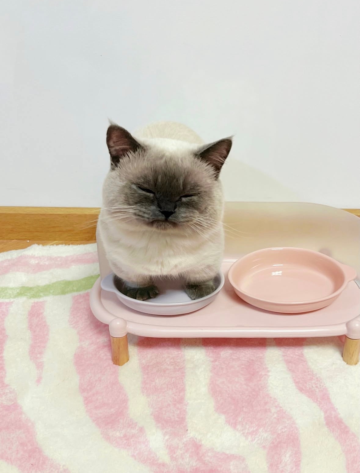 🥣😡 