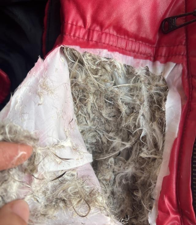 翻出2010年花1000块买的ONLY羽绒服，今天拆开看填充绒全是碎羽毛+小绒丝