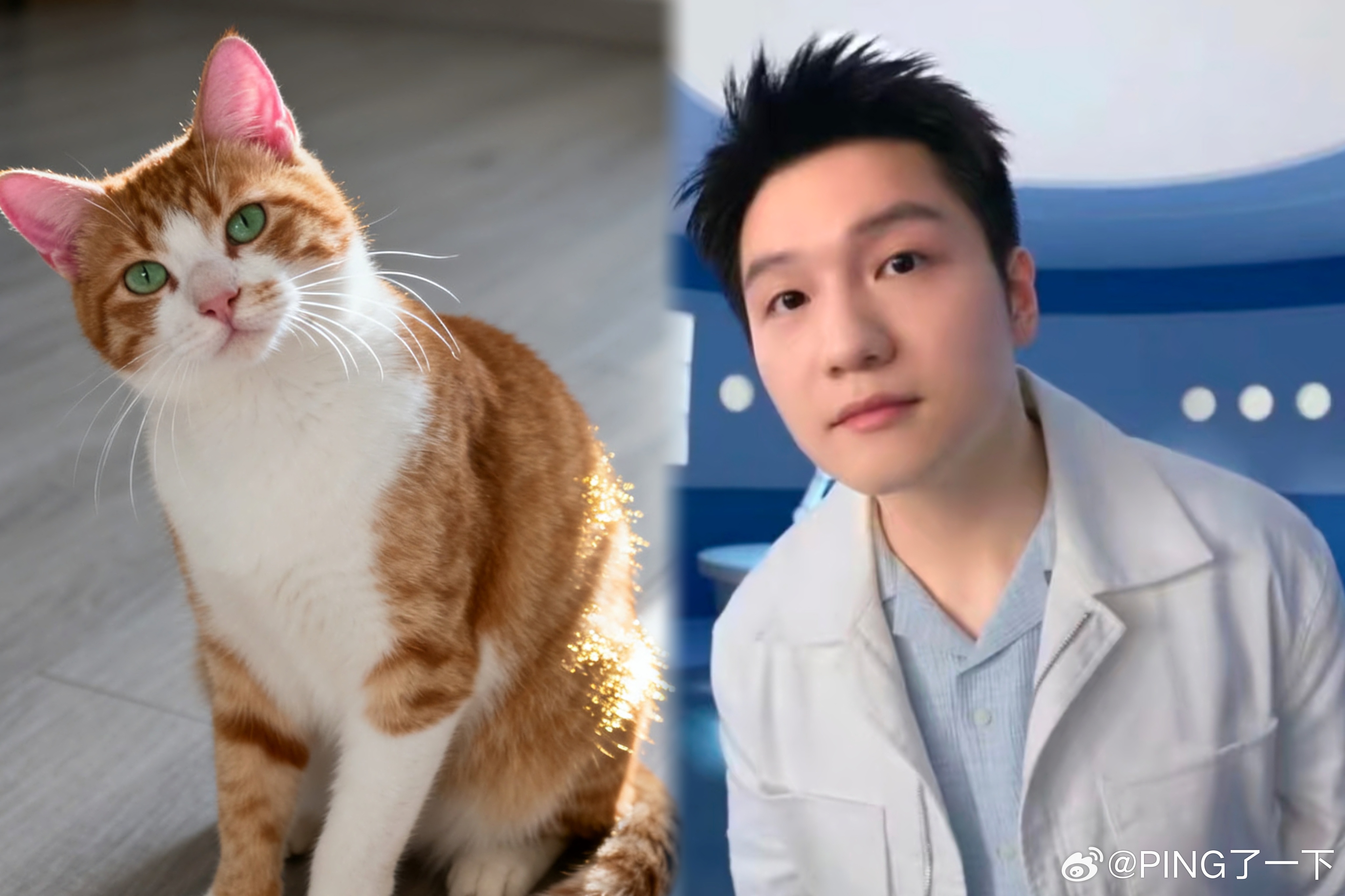 哇～小猫咪探头探脑🙀简直一模一样   rua一下可否？ ​​​