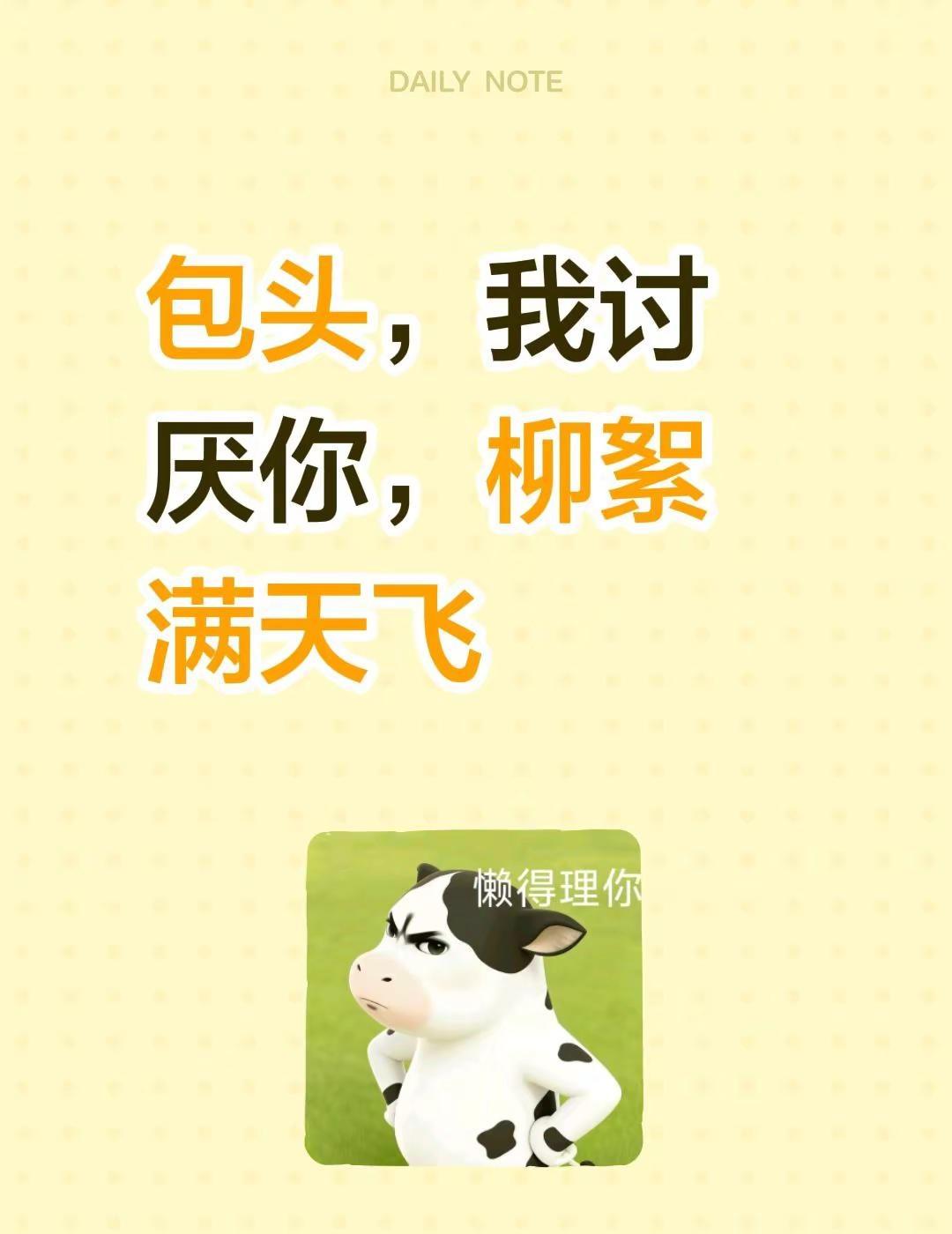 包头，我讨厌你，柳絮满天飞包头 内蒙古包头 包头市 包头天气