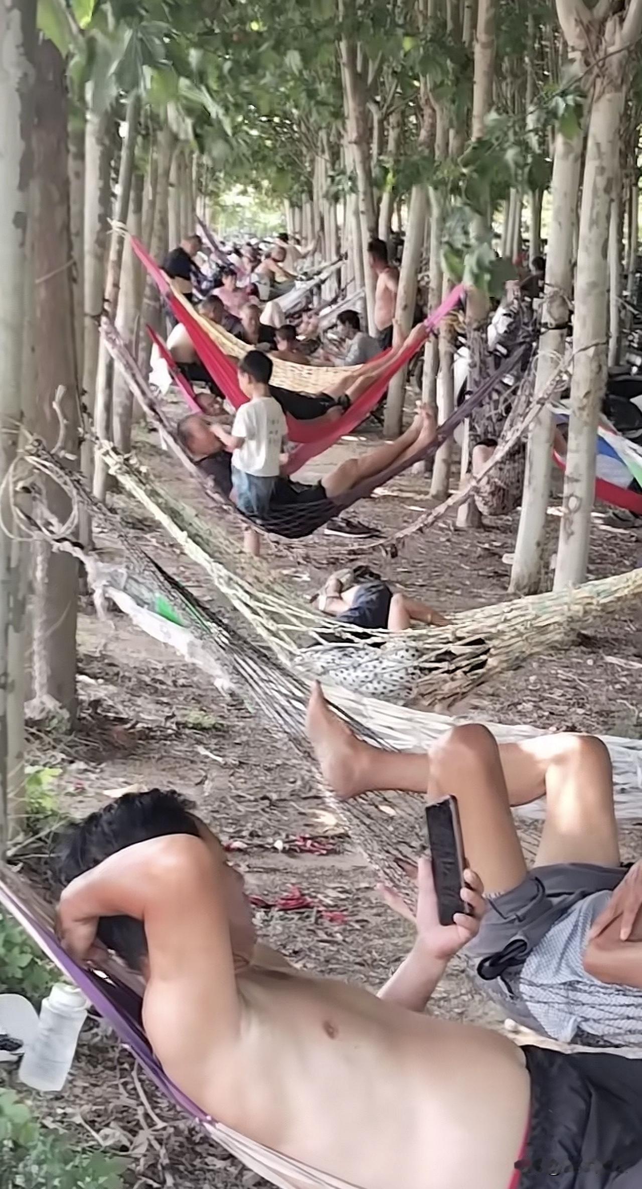 【唯道心语】致退休老人：往后余生这样活

岁月退场，卸下职场的奔波与俗世的功名，