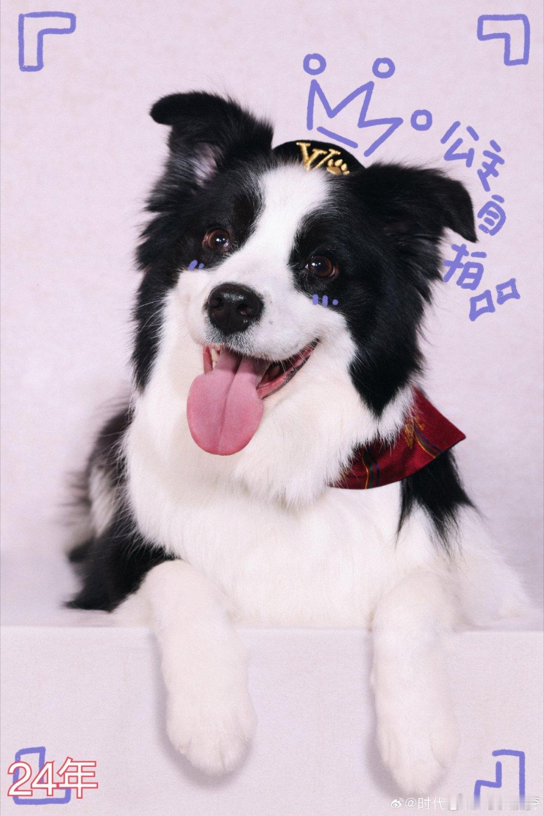 ✨亲爱的小鼠标，祝你5岁生日快乐！🎉祝你健康平安，无病无灾，能和爸爸在一起一辈