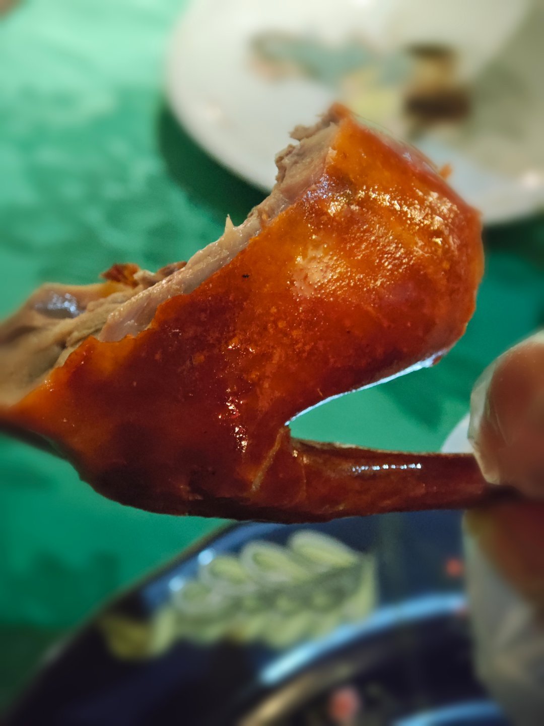 昼伏夜出