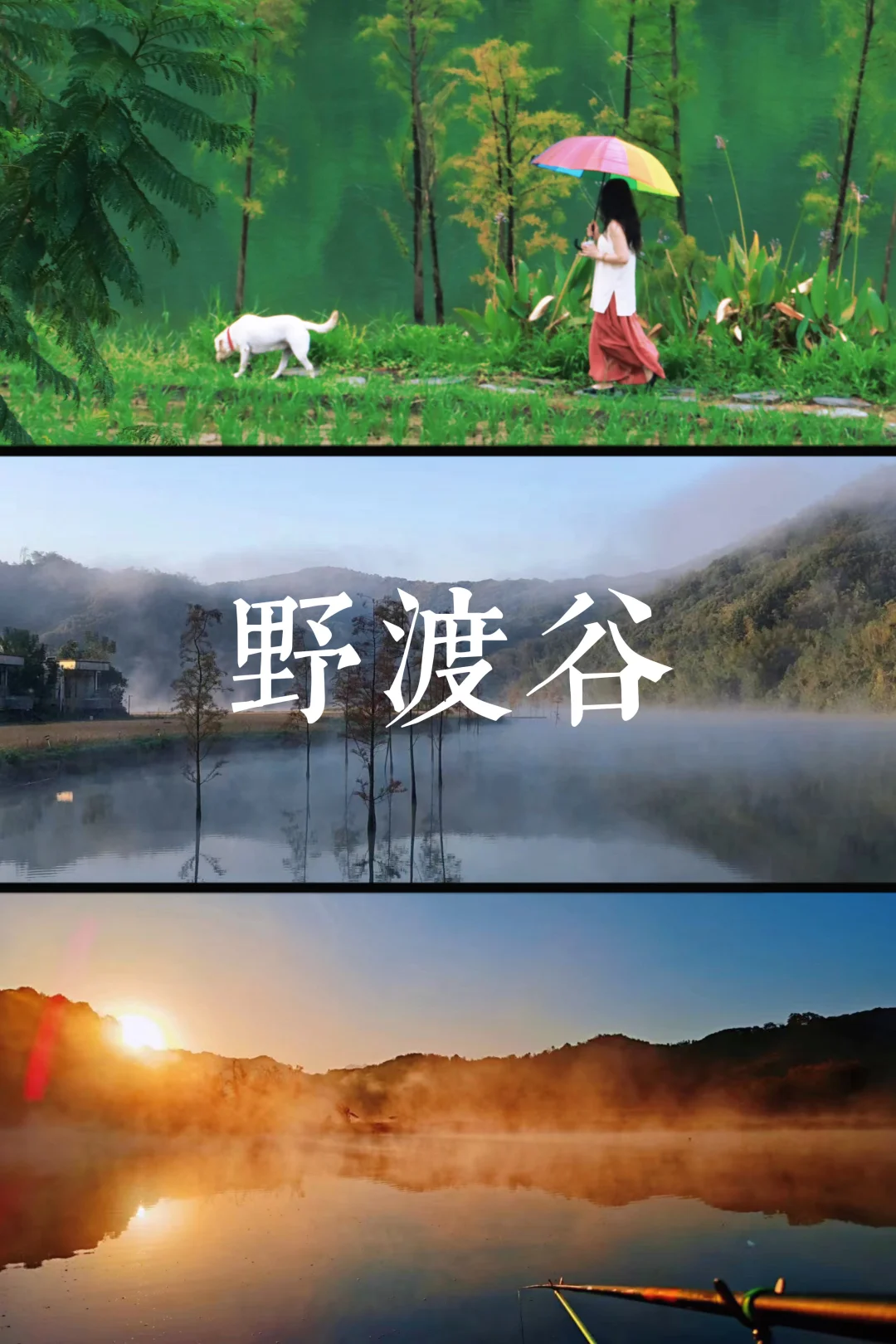 赴一场山野晨雾之约，与温柔撞个满怀