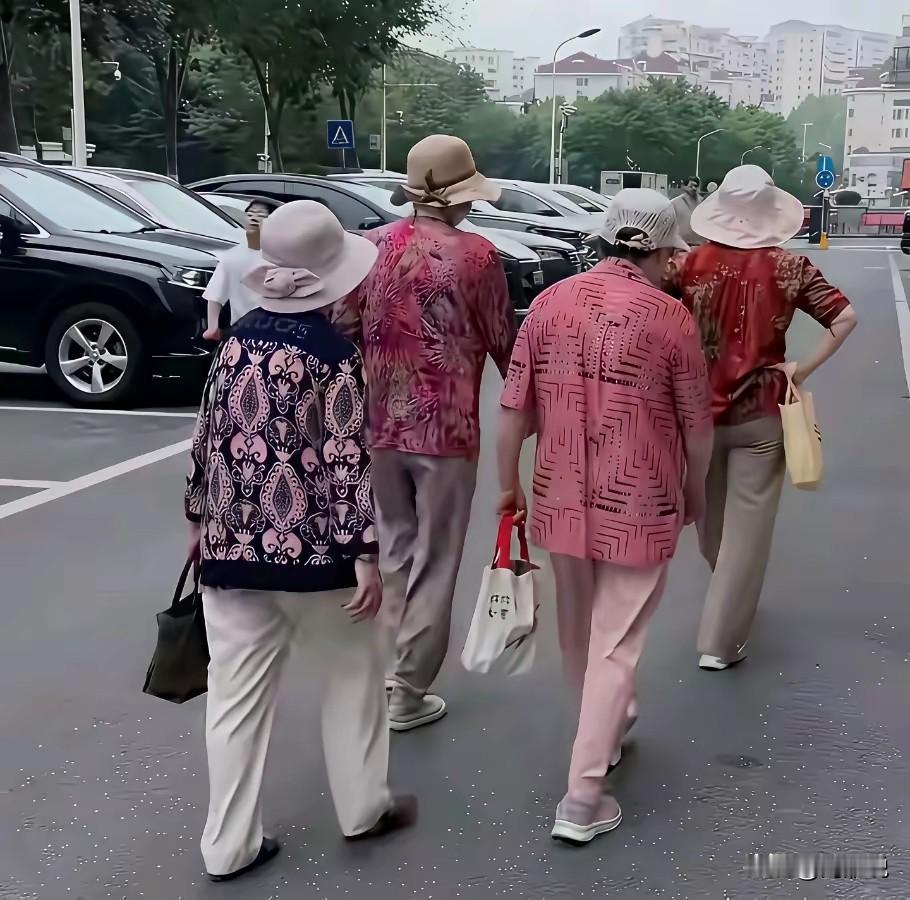现在天气又凉了，东北老人又要去南方猫冬了！     
       我有个同事一
