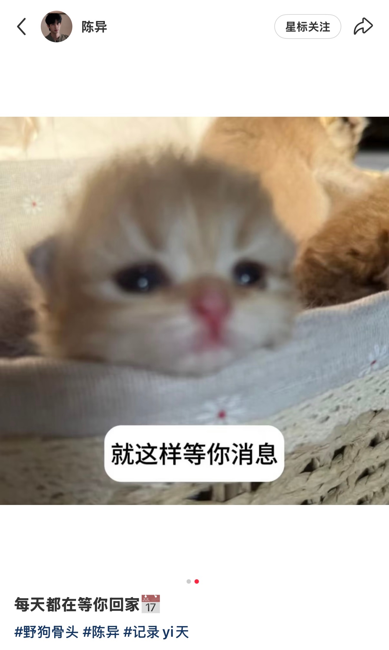 女性向里等待妻子回家的人夫bybike：野狗骨头