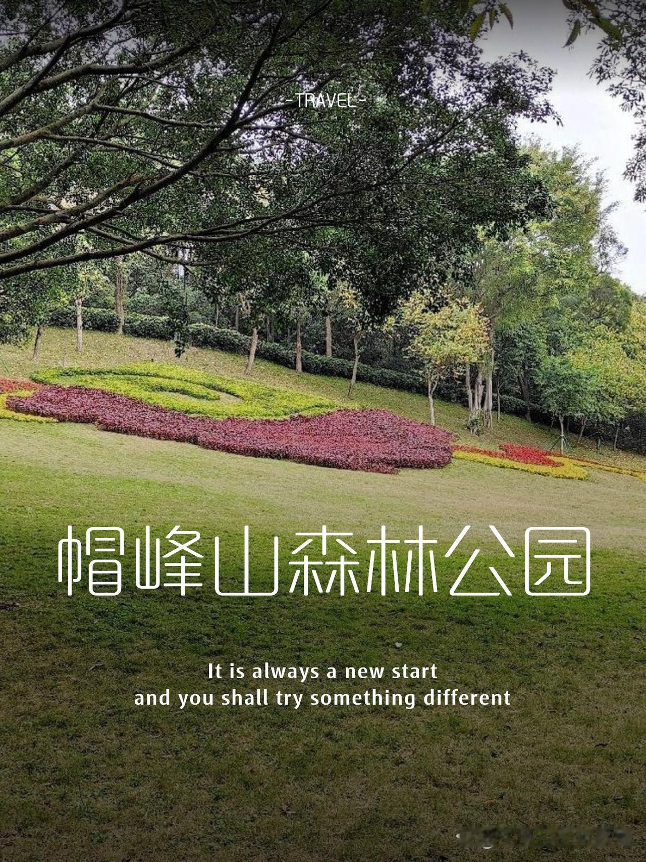 帽峰山一日游｜森林氧吧里的治愈时光

🌿被问爆的广州近郊秘境！私藏的森系徒步路