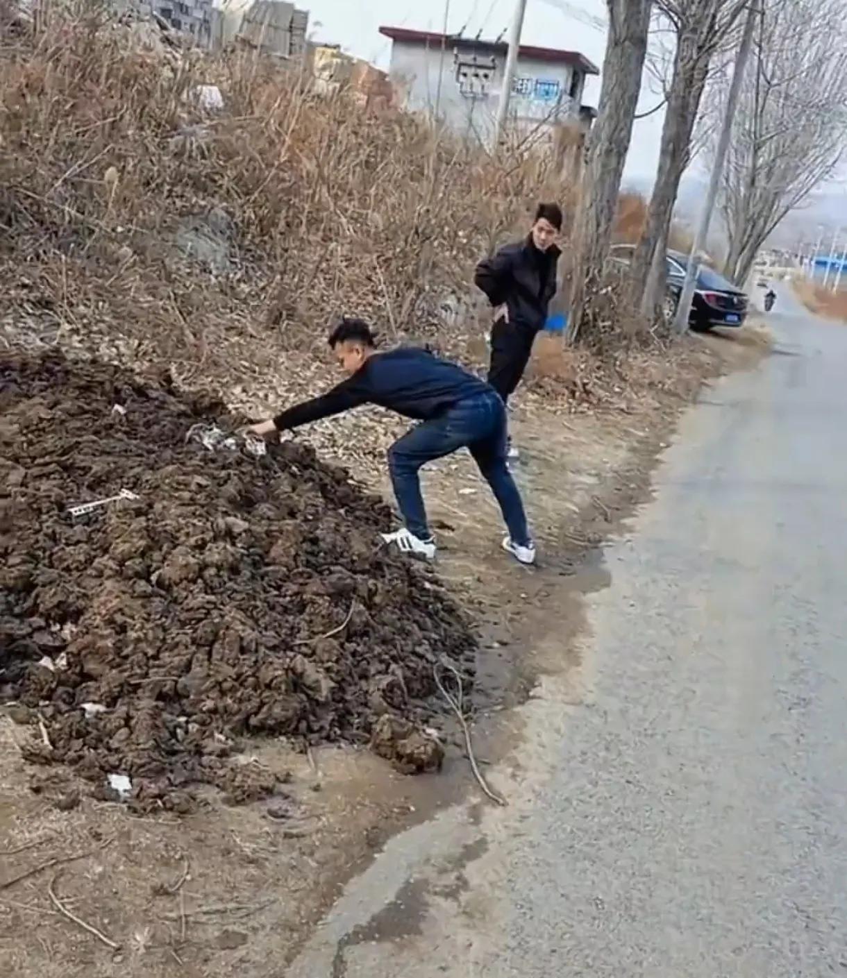 这两个小伙子太缺德了，注意看，两个小伙子在一堆牛粪前面，其中一个拿着炮，放到牛粪