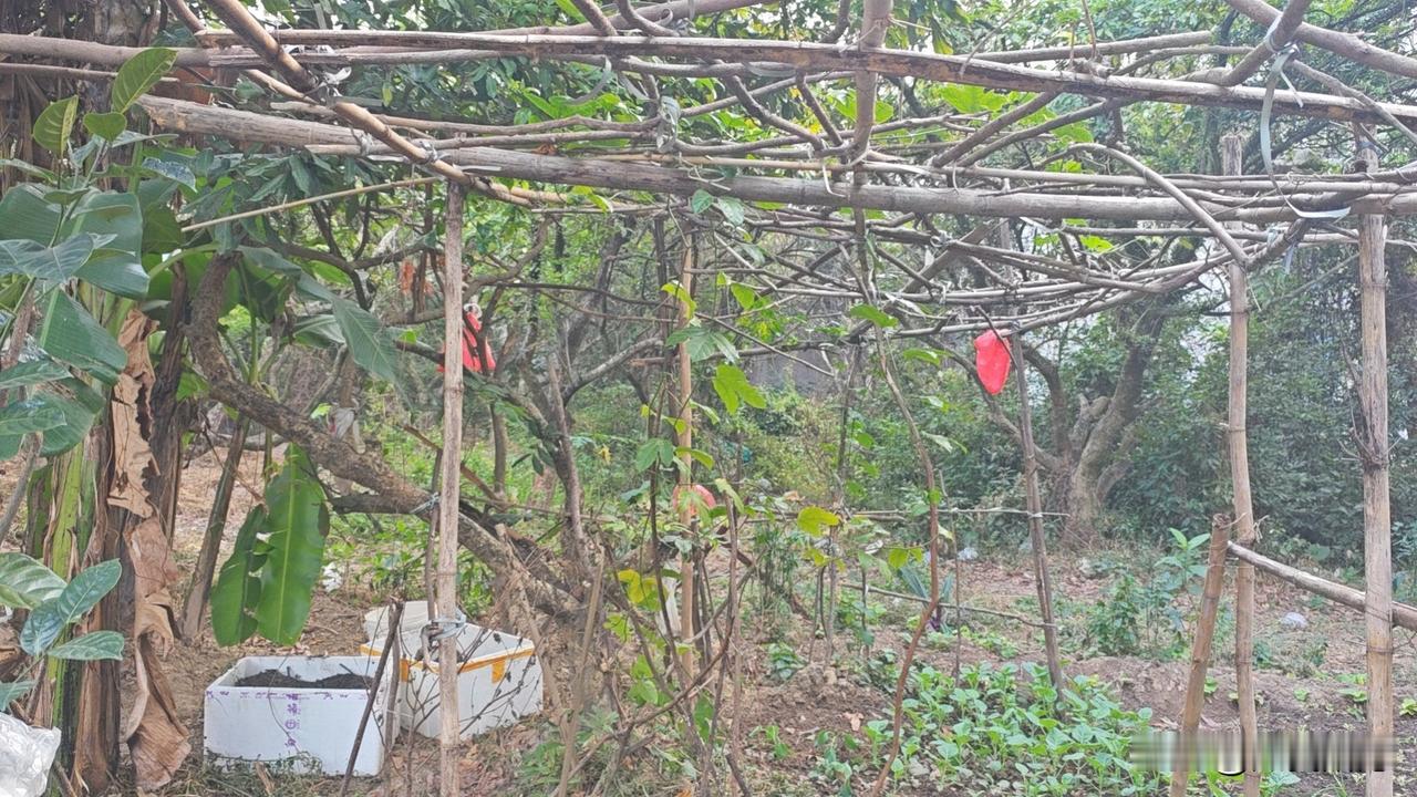 成年人，一边崩溃一边自愈，谁还不是这样呢？
上有老下有小，大抵如此！