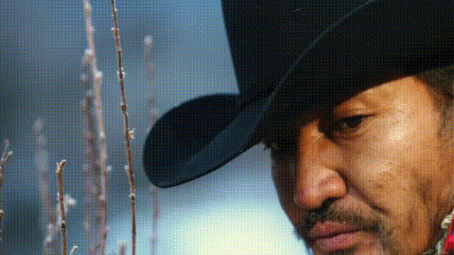 金巴为生命树写90秒影像诗 的确很有质感啊，看着就让人觉得很治愈， 这个售后简直