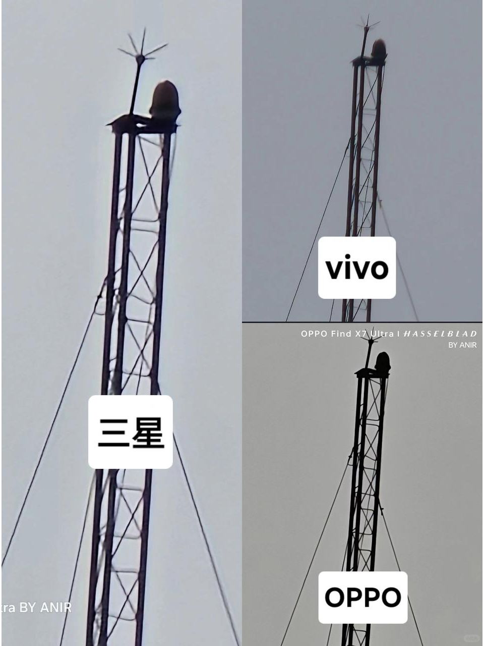 拍500米远的信号塔，谁的长焦更🐮？