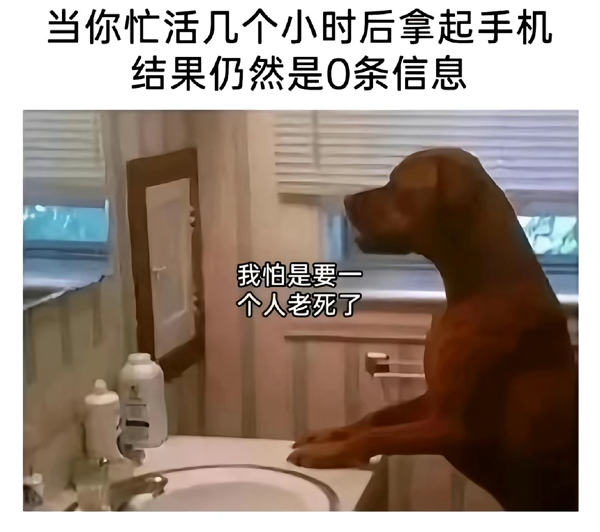 分享图片 