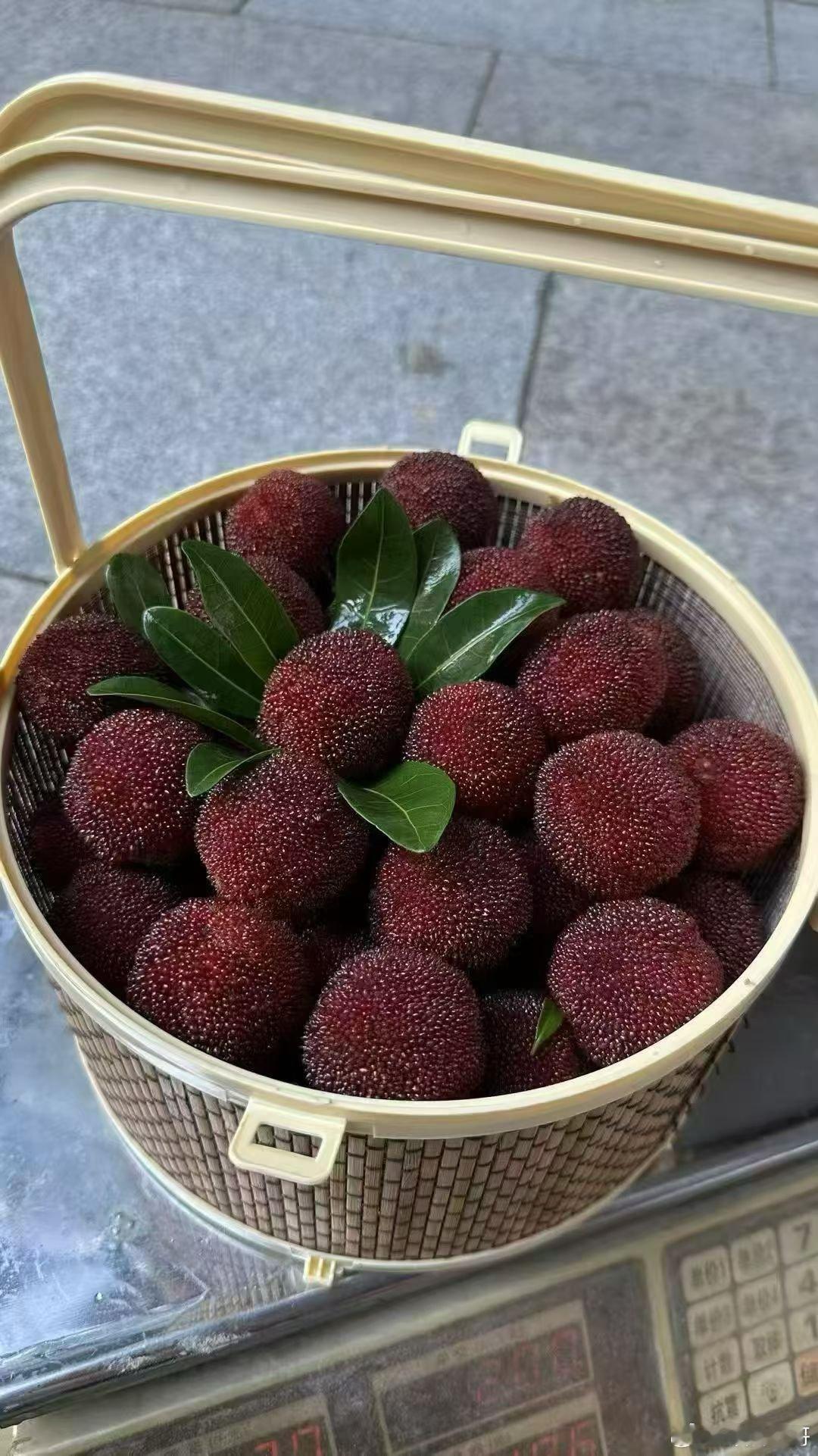 Hello，清华教授劳东燕，听说你好这一口，还又吃不着，来，本帅请你吃！安全，可