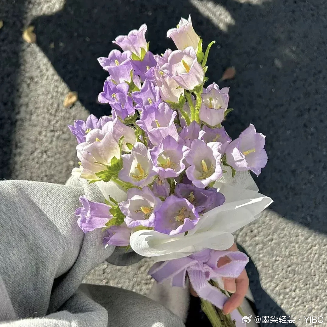 将近酒的蓝莓骑士 早安。今天别急着跟谁比，也别总看别人走到哪里了。你有你的节奏，