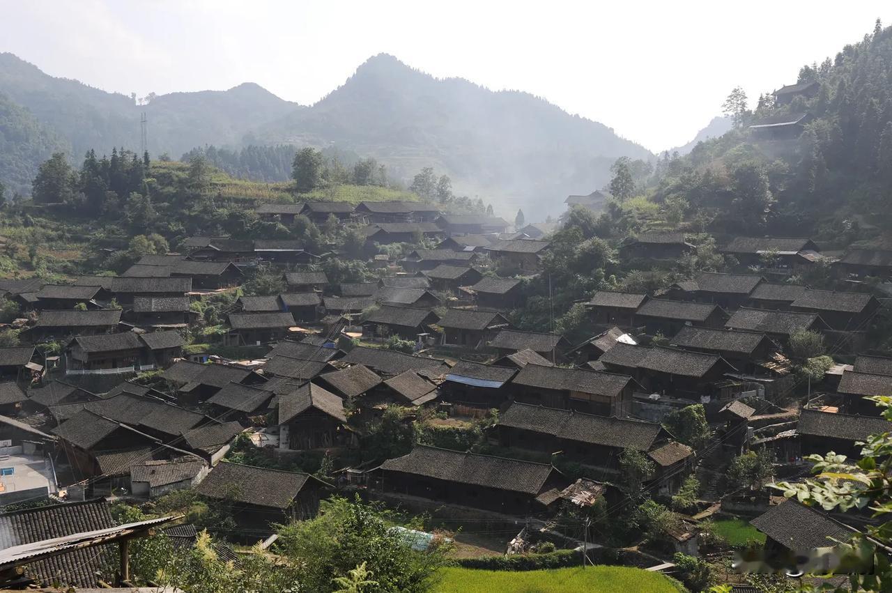七律.又到夯吉苗寨
（2024年11月30日）
金寨夯吉牵客魂，茶园满岭绣苗村。