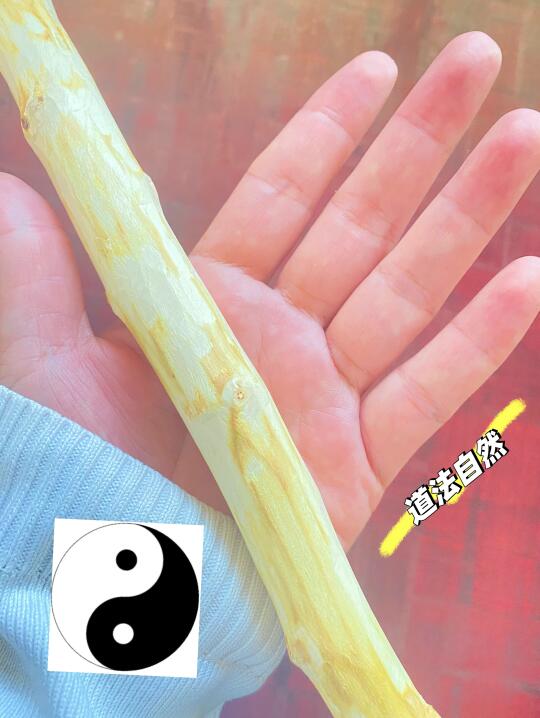 不寐，入睡困难，易惊醒，做噩梦的