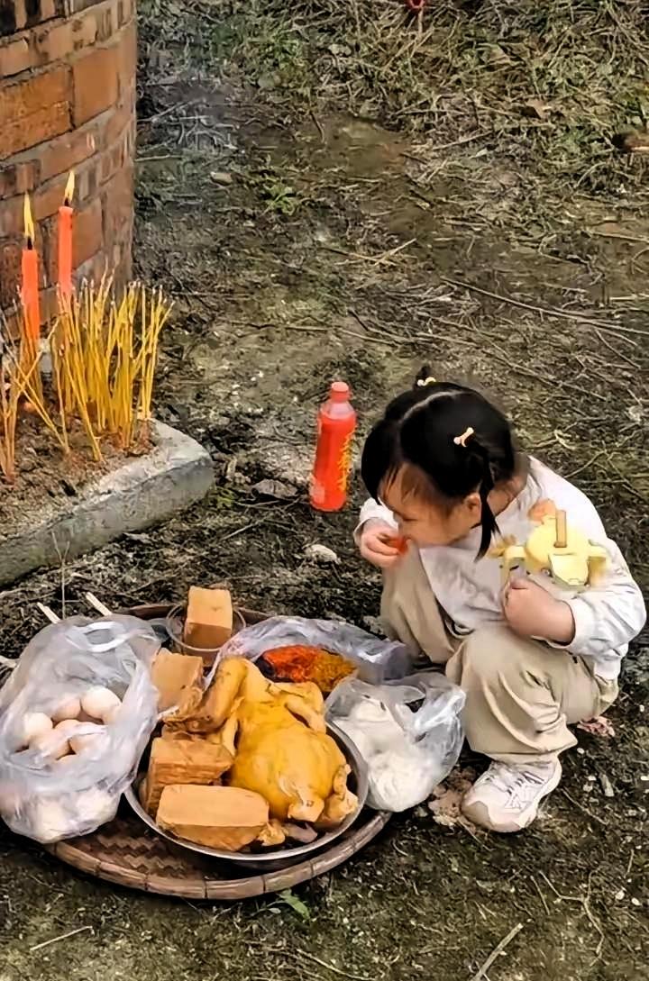 震惊！广东某坟头突发“抢劫案”——老祖宗尚未动筷，供品惨遭三岁幼崽洗劫。

妈妈