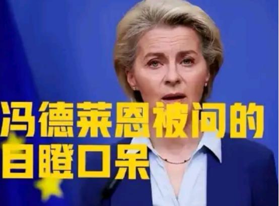 12月欧盟会议，冯德莱恩刚宣布“永久停购俄油气”，芬兰代表突然问：“若特朗普对委