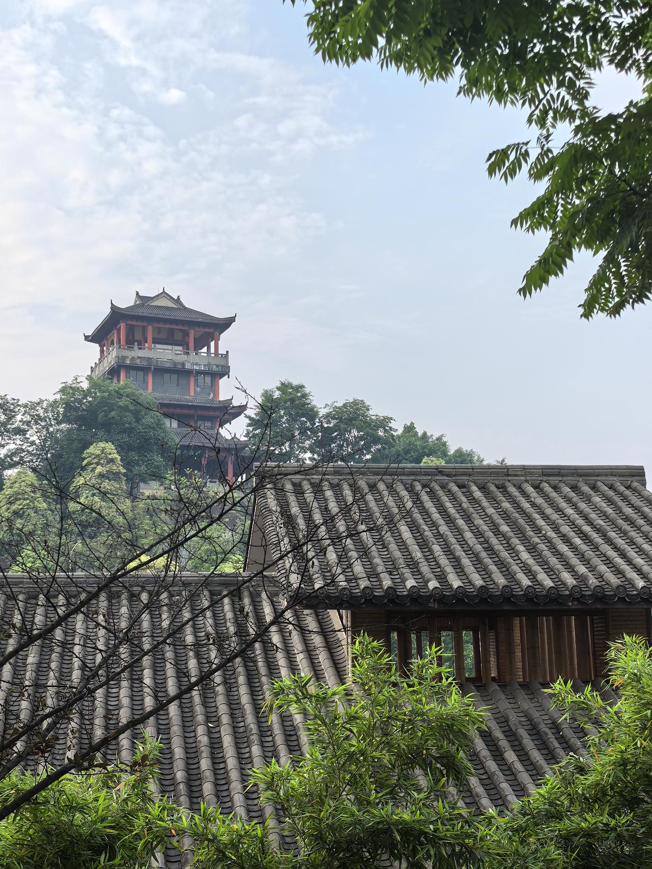 近楼青瓦竹半顷
四月春影映蓝天
何时歇脚频远望
半亭竹韵述晨烟

七绝，《长宁竹