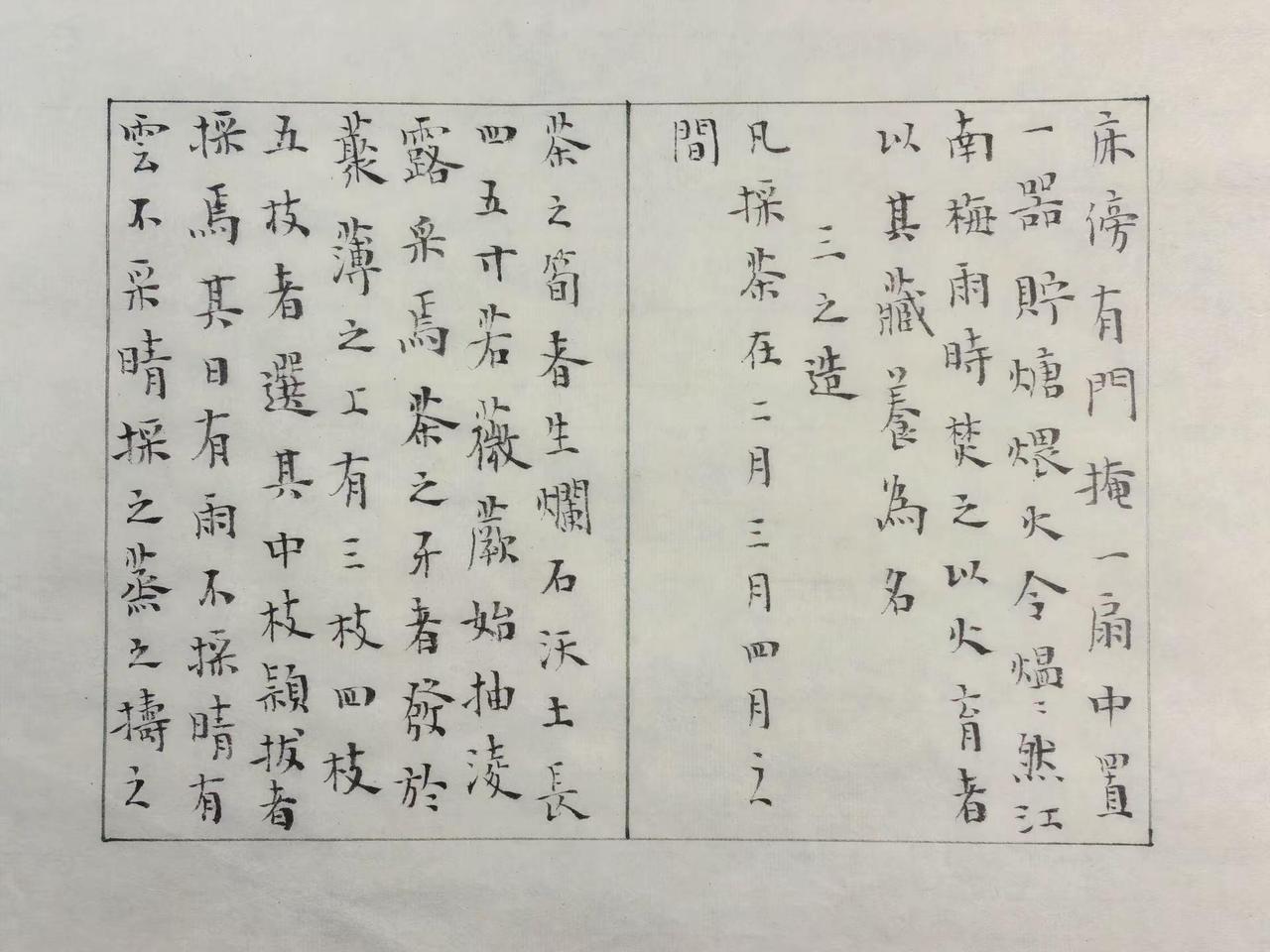 继续我们的创作日记。岚沁斋古籍手抄——陆羽《茶经》（8）小楷艺术 小楷作品赏析 