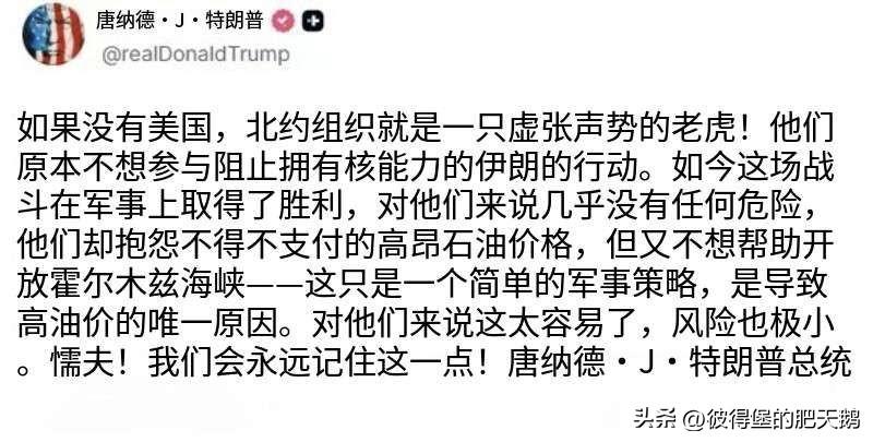 川宝说“北约是纸老虎”：

特朗普在其社交媒体账号上写道：“没有美国，北约就是一