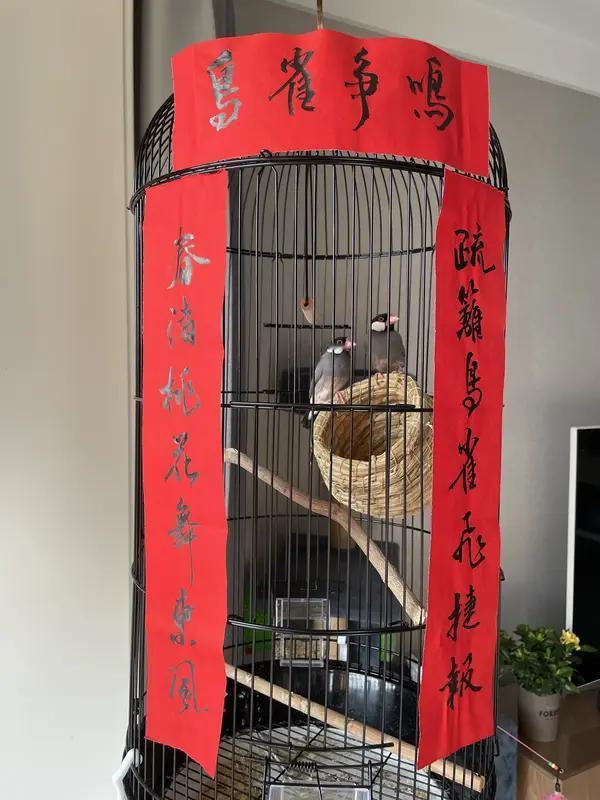 上联：恋爱时你是我的小甜甜
下联：结婚后我是你的提款机
横批：人财两得