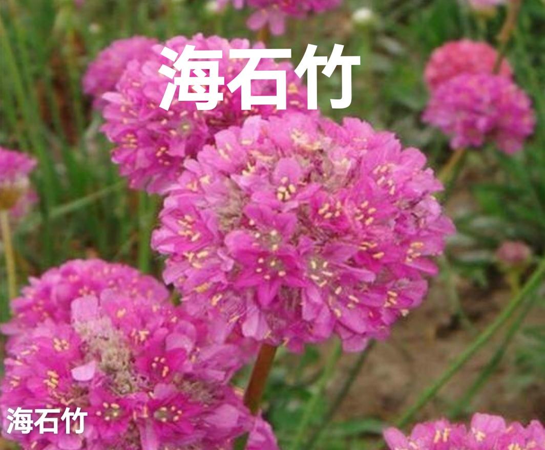 我真的没见过这样的大学生（据说是二工大）缺乏教养，不知羞耻，连最基本的生活素养也