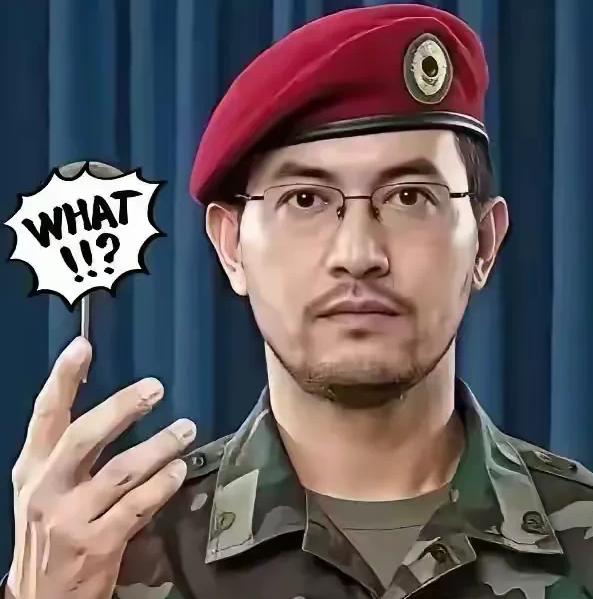 胡塞武装消息！

2026年7月25日，也门胡塞武装对外官宣，动用导弹袭击了沙特
