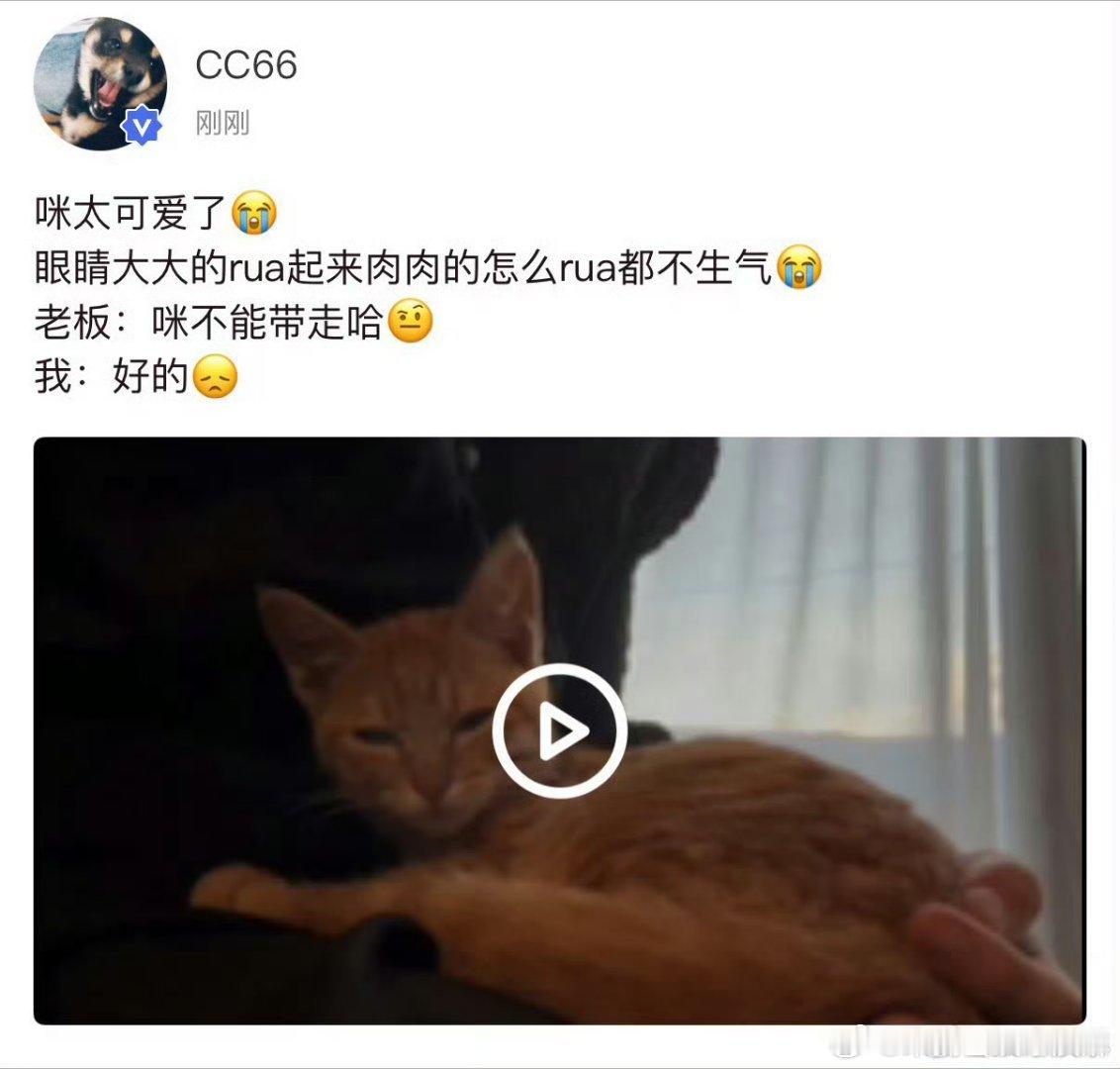 马嘉祺咪不能带走哈想带走 