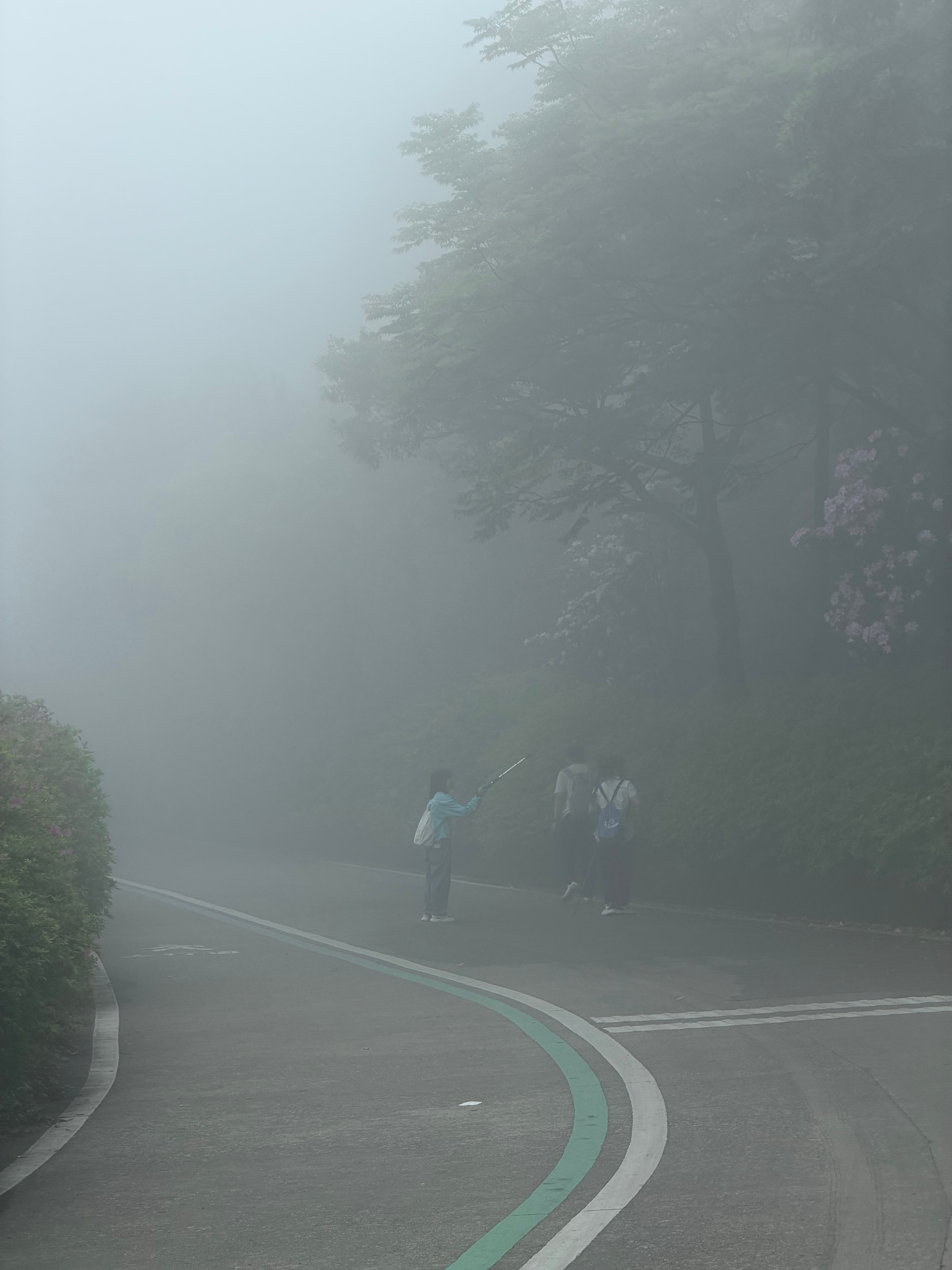 走了接近7km上坡，一直爬，耗时一个半小时，我现在腿力强的可怕，这样5月份冈仁波
