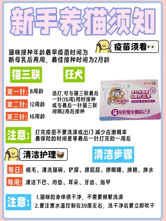 新手养猫攻略！疫苗不是2针就够！