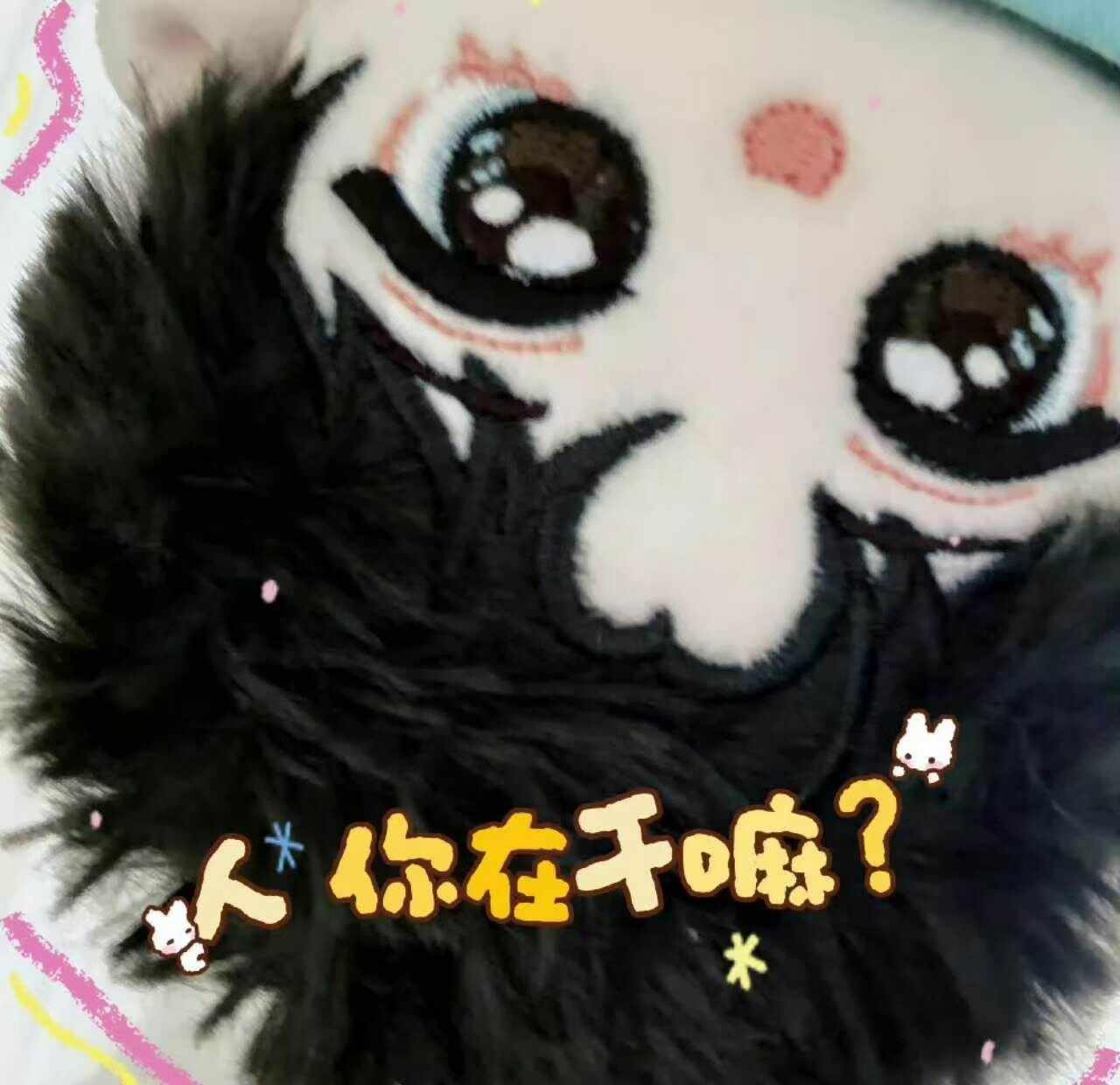 美丽的吞吞都来带回家，互互互