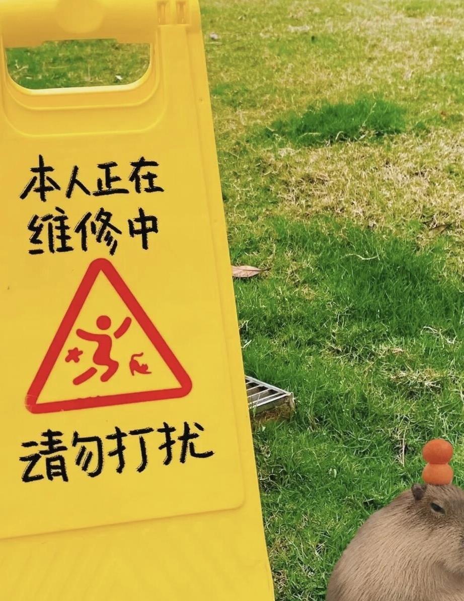 新学了两个不内耗的方法：1.只要不直说 我就当听不懂2.直说了我不爱听 那就当听