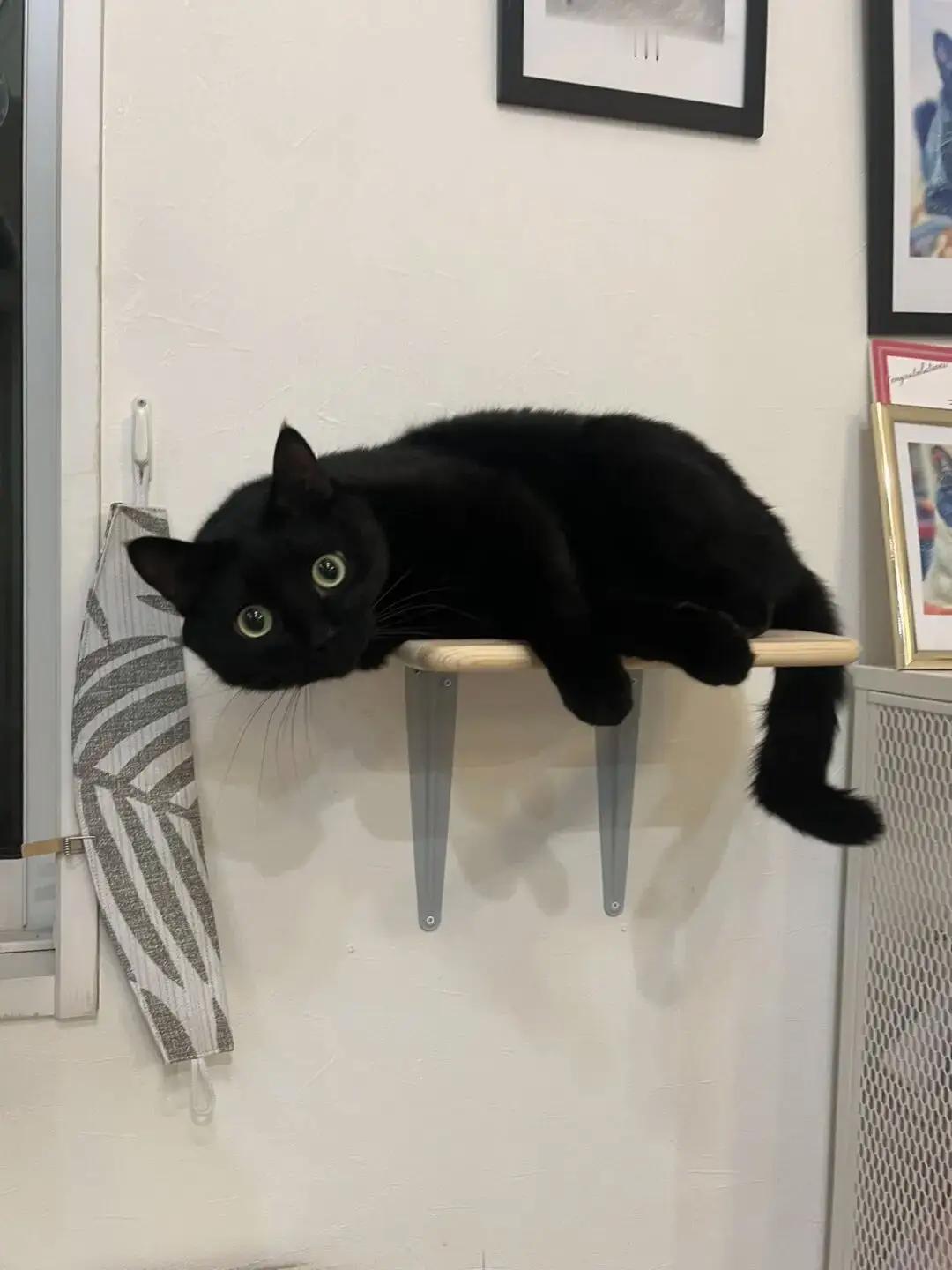 吃饱了，午休时间到！ 