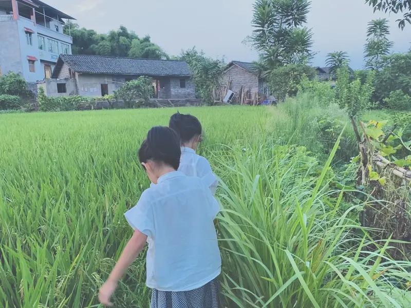 农村孩子适合报哪些专业 农村孩子报专业，得务实好就业。理工类里，电气工程、机械制