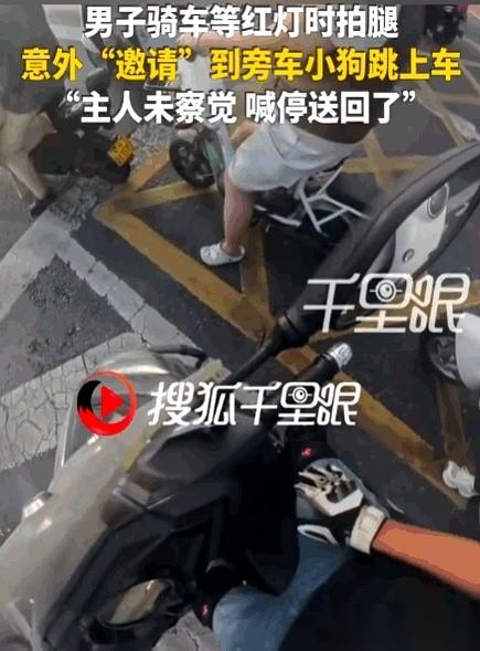 6月23日，郑州。红灯亮起，范先生随手拍了两下自己被晒得发烫的大腿。
就这么两下