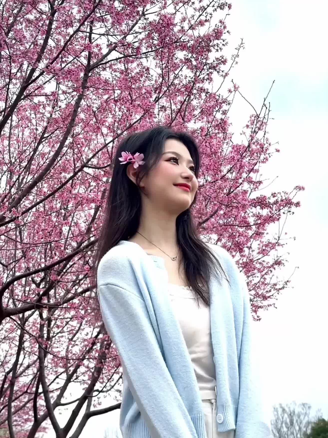 春天没有心事 春天只顾花开