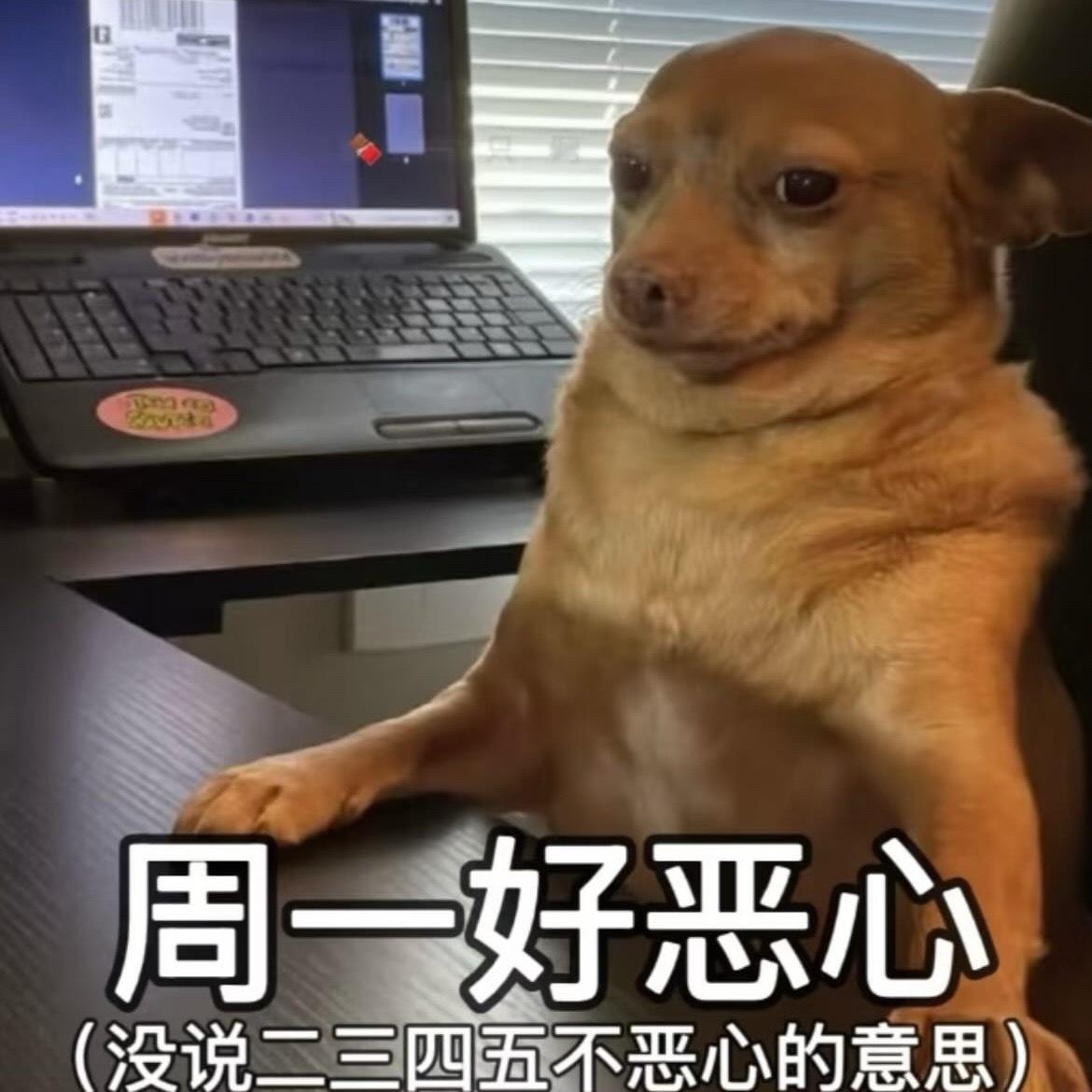 永久心情了 ​​​