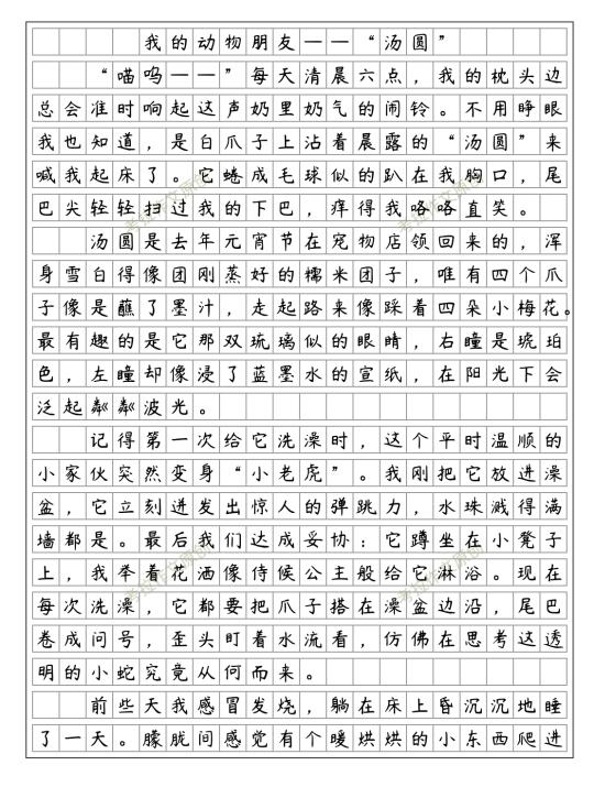优秀范文《我的动物朋友》四下四单元