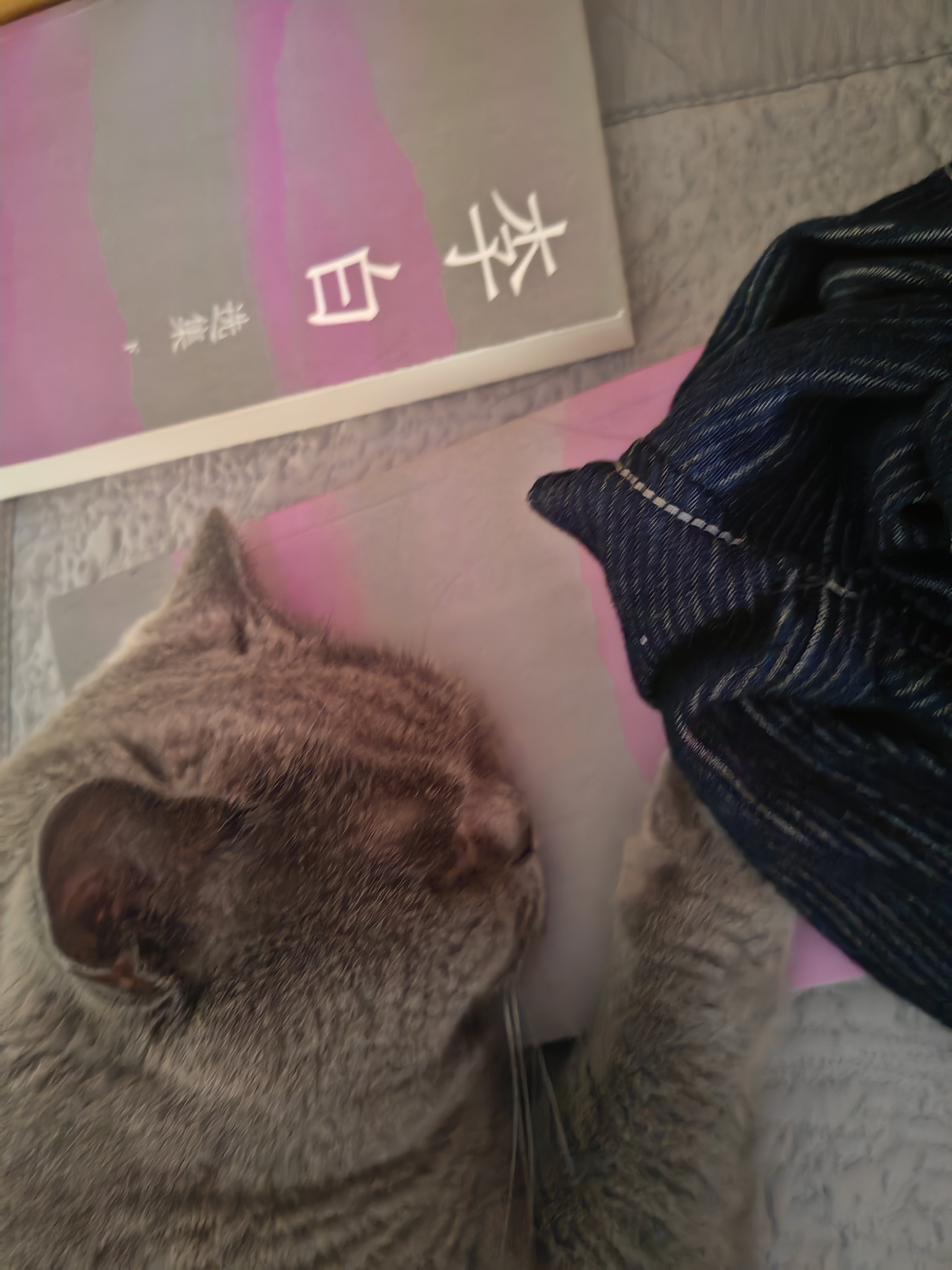 梦游天姥吟留别 