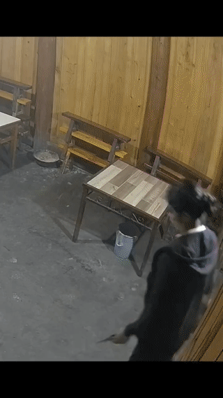 一名女子拿着一个不锈钢大盆从外面走进来准备坐在凳子上摘菜。
结果她这个时候突然莫
