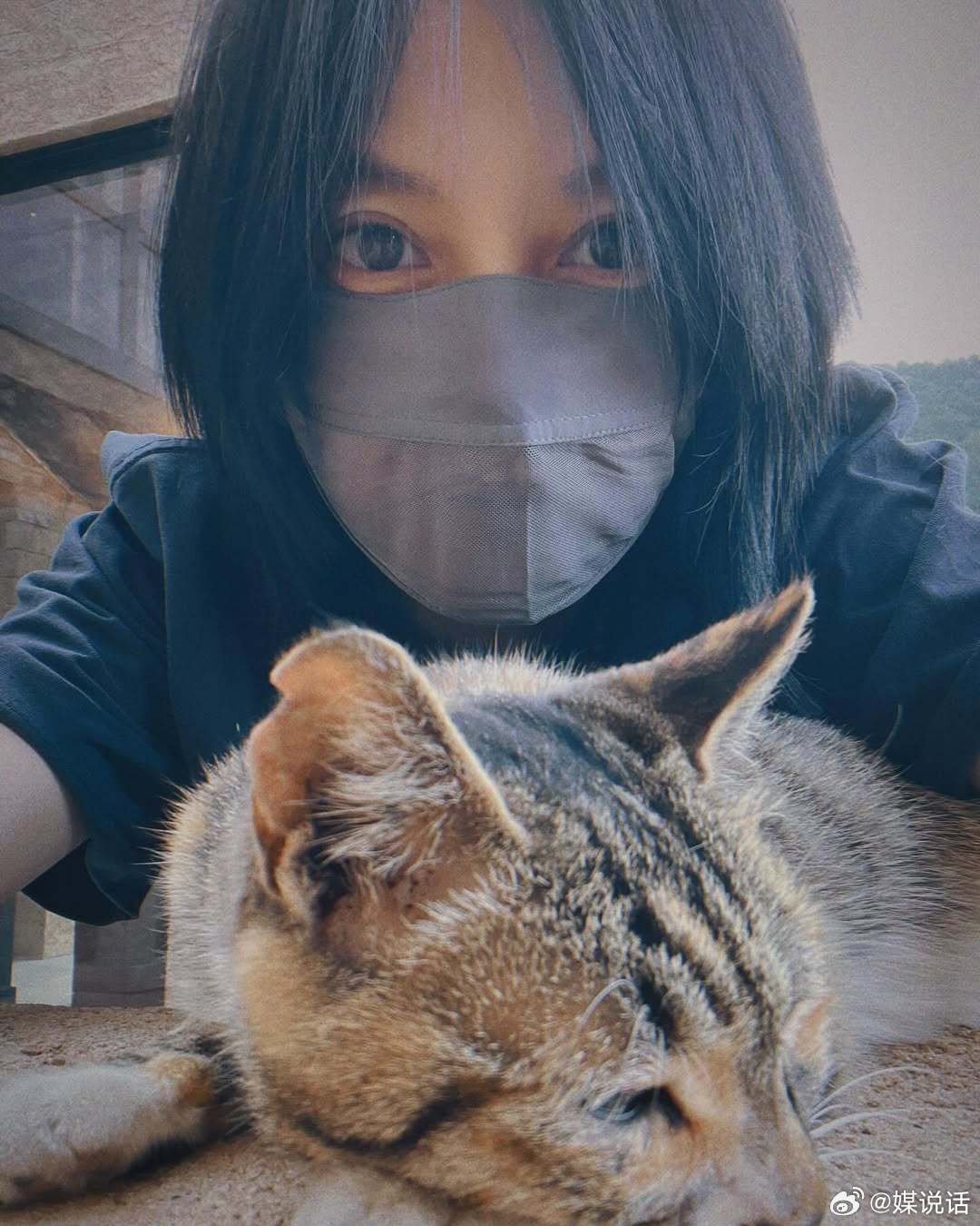 ins更新自拍，和猫咪在一起have a nice day[送花花] ​​​
